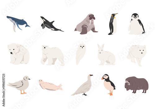 artic and antartic animals