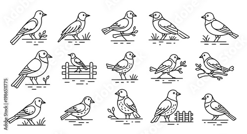 Native American Indian in traditional costume with a set of cute illustrated animals and birds including sparrow owl and duck in a spring nature vector cartoon style design