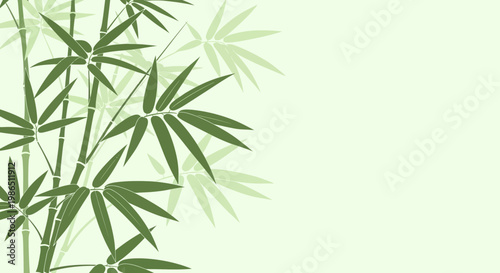 Green bamboo leaves and branches isolated on a white background in a simple tropical nature illustration