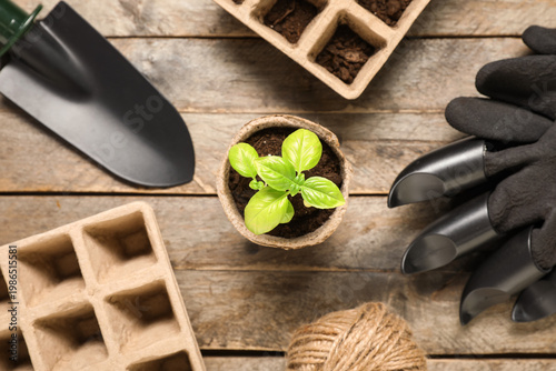 Pot with basil and differen...