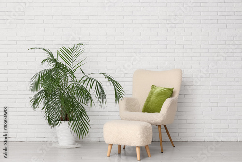 Green houseplant with armch...