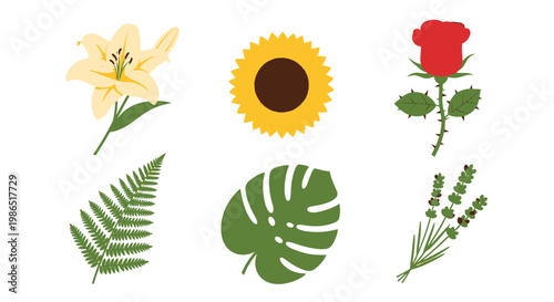 Collection of various green leafy plants.