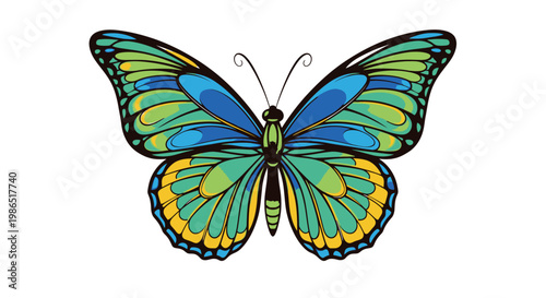 Colorful Butterfly with Open Wings.