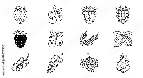 Variety of Berries and Fruits Illustration.