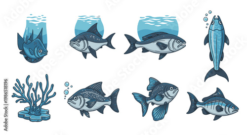 Fish swimming in ocean water column.