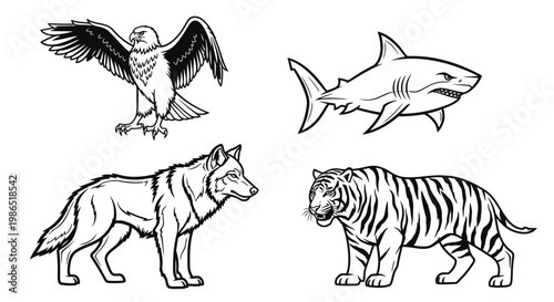 Wild animals eagle shark wolf tiger 1.