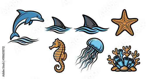 Dolphin shark starfish sea creatures.