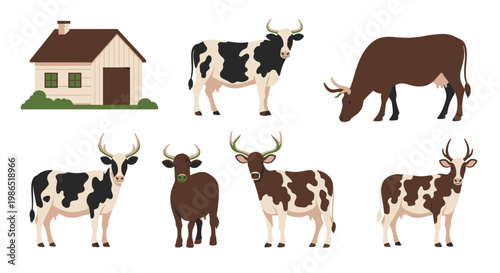 Brown and white cows and bulls standing.