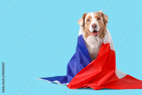 Cute dog with flag of Franc...
