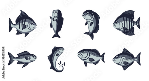 School of Fish Swimming Together 1.