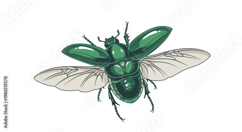 Green metallic beetle with wings spread.
