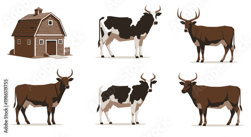 Cows and bulls on farm.