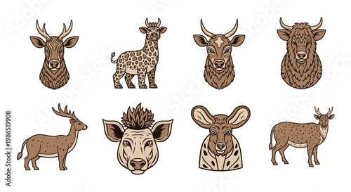 Various types of deer heads and bodies.