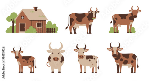 Brown and white cows standing still 6.