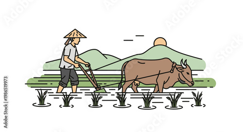 Man Plowing Field With Brown Cow.