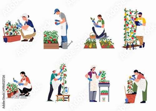 Comprehensive collection of vector illustrations depicting Buddhist monks in traditional robes performing various spiritual rituals, ceremonies, and daily temple activities.