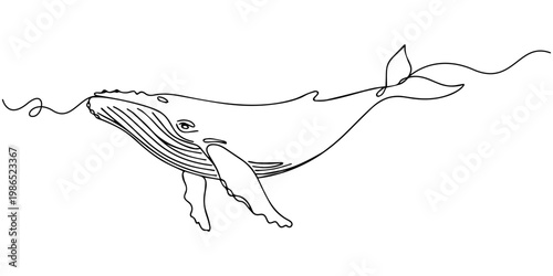 whale continuous one line drawing, Sea Escape. Minimalistic one-line drawing a whale tail disappearing beneath water surface, continuous single black line on white background, simple outline