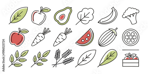 Colorful of various fruits and vegetables with leaves food