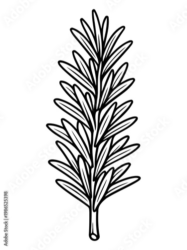 Rosemary Sprig: A detailed and elegant illustration captures the aromatic beauty of a single rosemary sprig, showcasing its slender leaves and woody stem, perfect for culinary and decorative use.