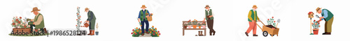Vector Illustration Set of a Senior Man Enjoying Various Gardening Activities Like Pruning Roses, Watering Plants, and Using a Wheelbarrow.
