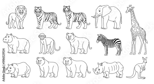 Collection of various wild animals standing 3.