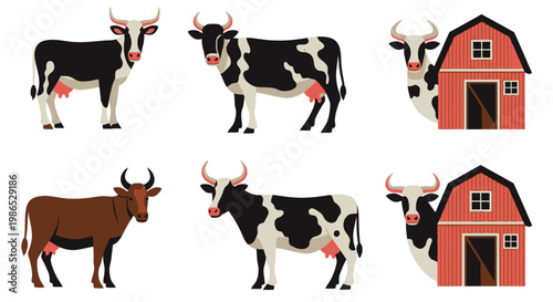 Cows and bulls in farm.