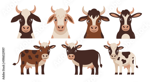 Cows and bulls in various poses.