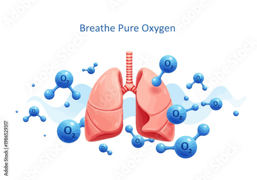Vector illustration of lungs and oxygen molecules, healthy breathing concept icon