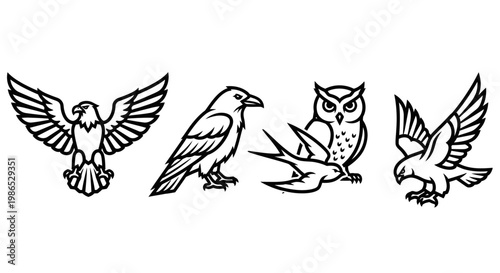 Birds of prey in flight together.