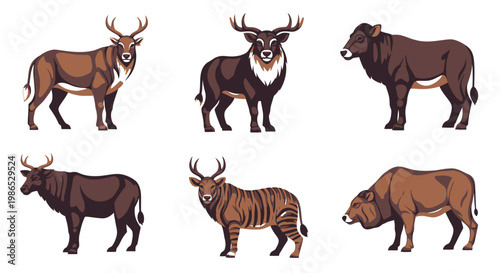 Six large exotic wild animals standing.