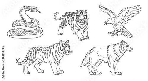 Wild animals tiger eagle bear snake.