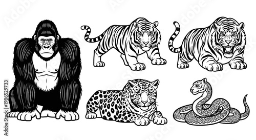 Black and white animal illustrations group.