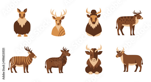 Collection of various wild animal heads 3.