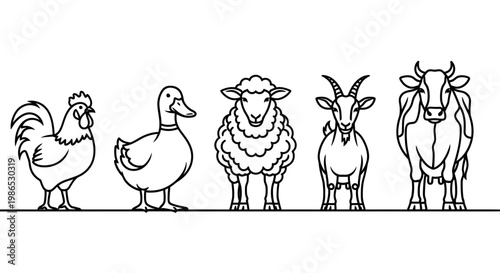 Farm animals standing in line 3.