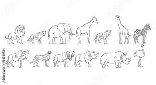 Collection of various wild animals standing 4.