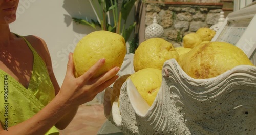 A woman examines large yellow lemons to prepare limoncello displayed outdoors during summer holidays in Capri Italy