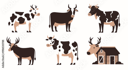 Cows and bulls in farm setting 1.