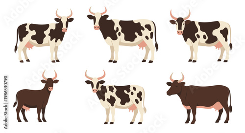 Cows and bulls standing side by.