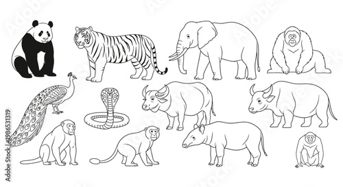 Various animals in a group setting.