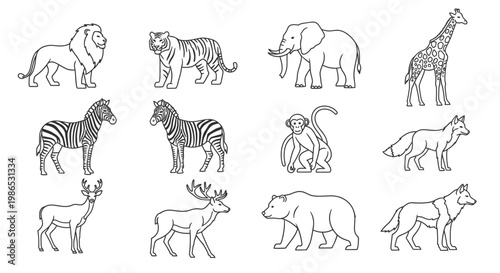 Various Wild Animals Line Drawings.