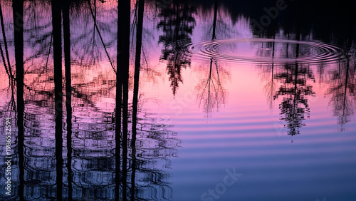 水面に映る森のイメージ