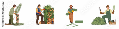 Flat vector illustration set of professional landscapers and gardeners harvesting, trimming, and maintaining palm trees and palm fronds in a garden.