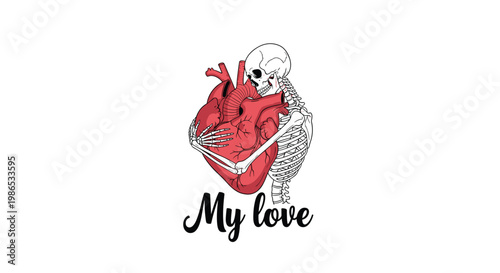 Detailed anatomical illustration of a human skeleton affectionately hugging a large red human heart with the text my love on a white background.