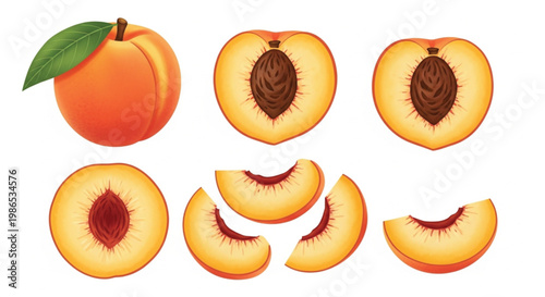Fresh peach fruit vector set with whole half and sliced pieces realistic 3D illustration for food packaging and organic products