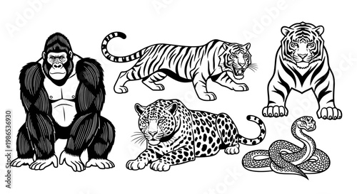 Gorilla tiger leopard and snake animals.
