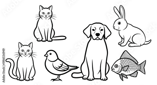 Group of pets and animals together.