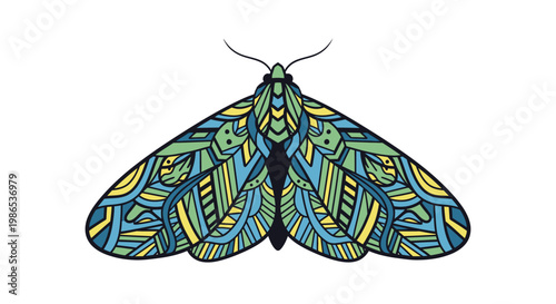 Colorful Moth with Patterned Wings Spread.