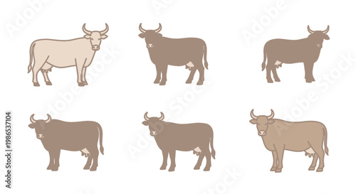 Brown and white cows standing still 2.