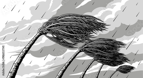Palm trees in heavy storm weather.