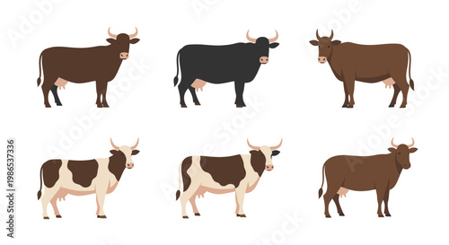 Brown and black cows standing together.